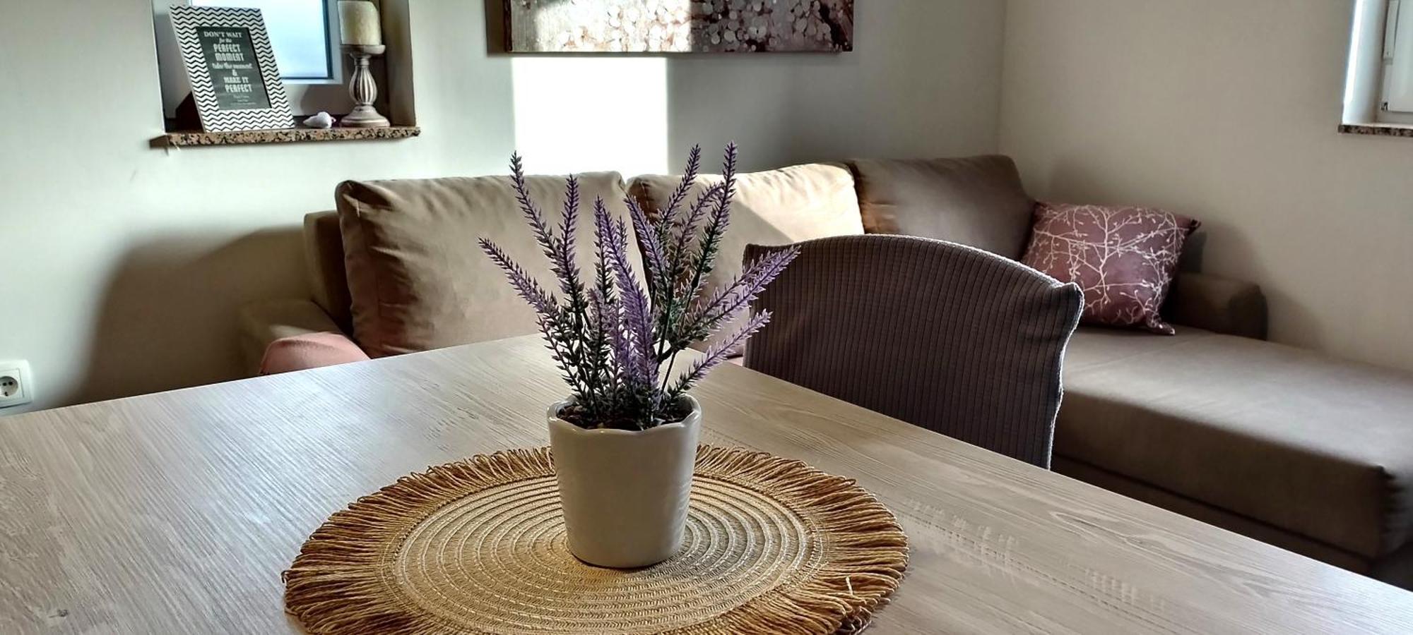 Apartment Morini Задар Экстерьер фото